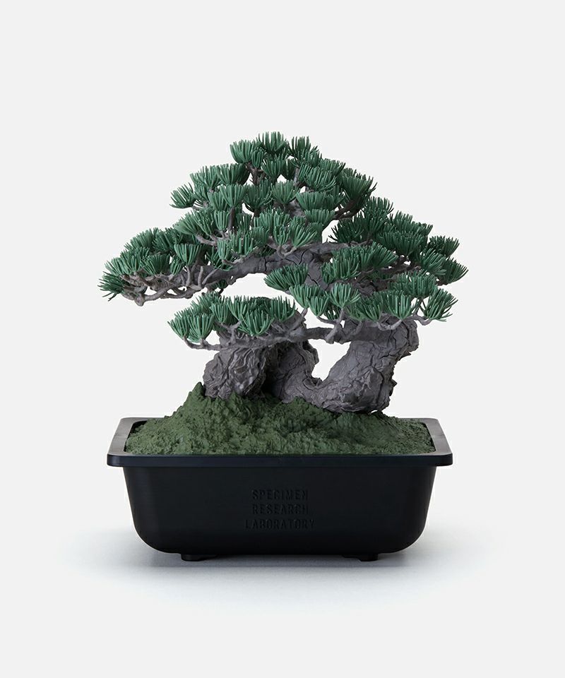 ＜NEIGHBORHOOD＞SRL X BANDAI SPIRITS . BONSAI MODEL KIT