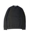 ORGANIC COTTON DIAGONAL FLEECE 'OLD' EFFECT SWEAT(811561241)