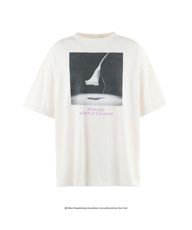 存在感大【Saint Mxxxxxx】CALLA LILY MT_SS TEE SAINT Mxxxxxx × Robert Mapplethorpe SS25 MT_SS TEE/CALLA