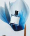 ＜BED J.W. FORD＞Fragrance #001