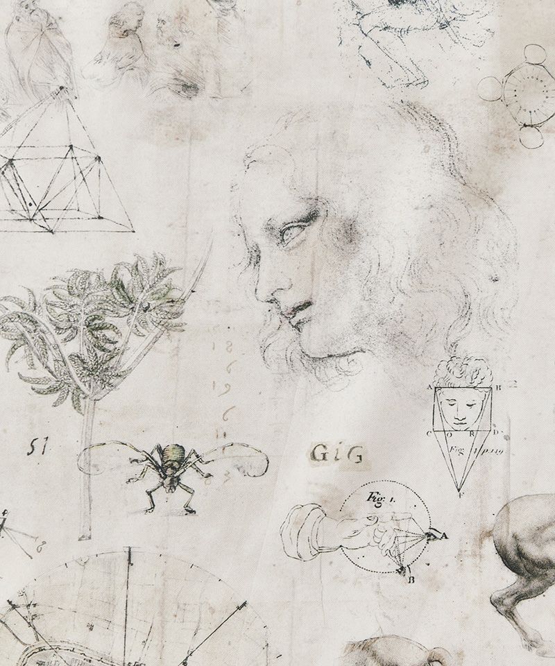 NICENESS＞LEO/ レオ (ダヴィンチプリントシルクスカーフ) | MAKES